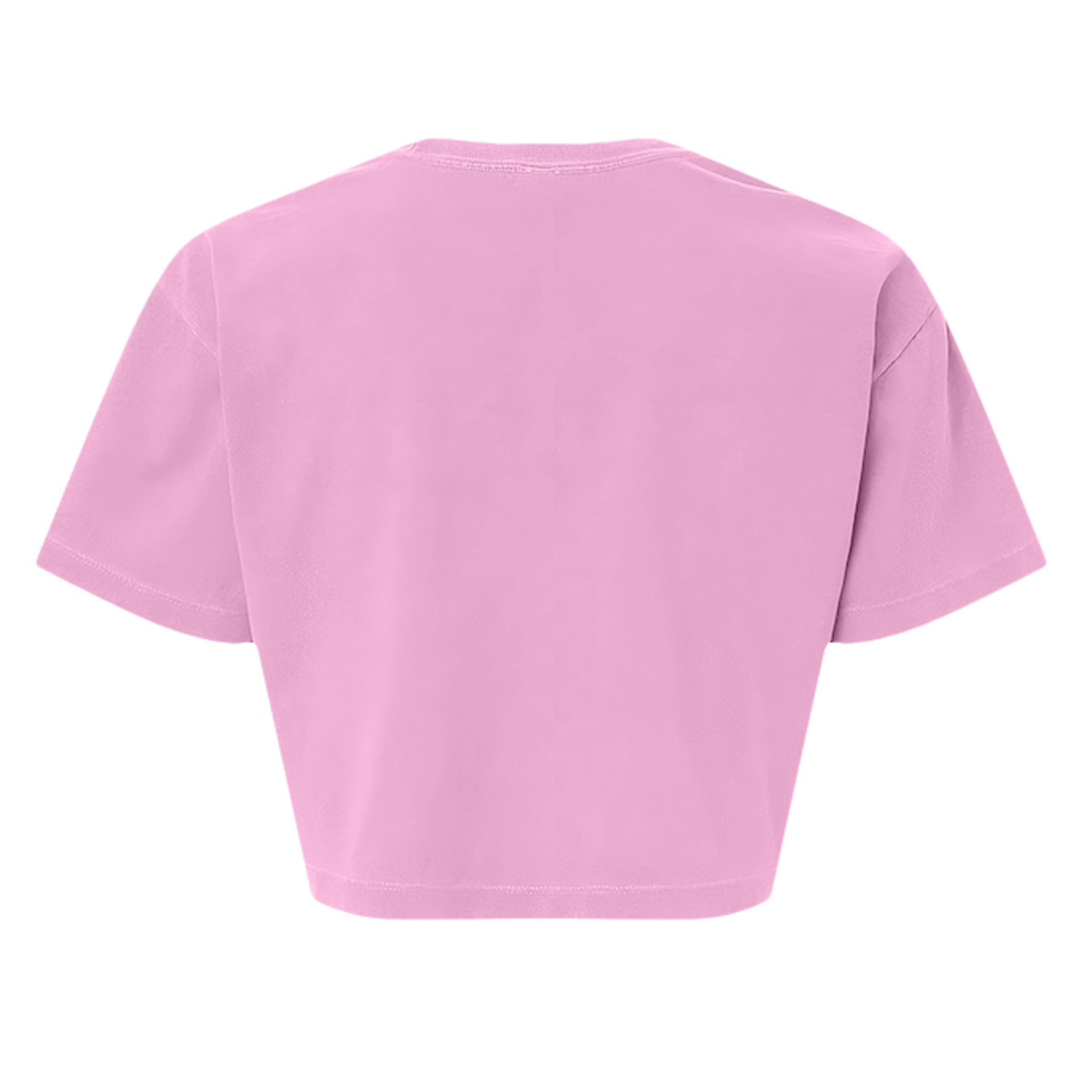 Faded Powder Pink - 1302GD - BACK